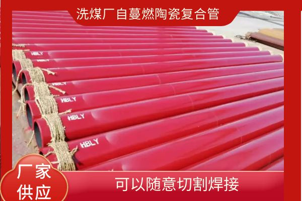 鑄造耐磨陶瓷管